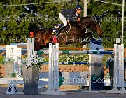 LUPINO Biricchina bella GioCav2013 S5 3565 : Biricchina bella, Campionati Italiani Giovani Cavalli, Cattolica, LUPINO NICO, ph Stefano Secchi ©